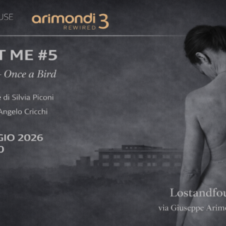 WOMAN ONCE A BIRD